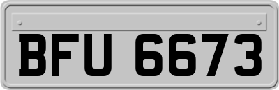 BFU6673