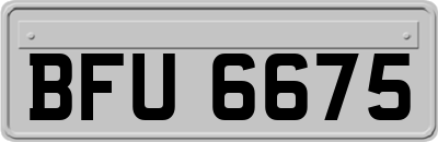 BFU6675