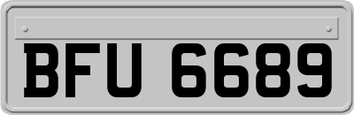 BFU6689
