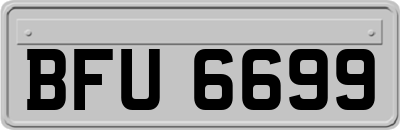 BFU6699