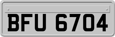 BFU6704