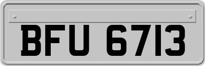 BFU6713