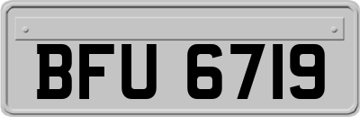BFU6719