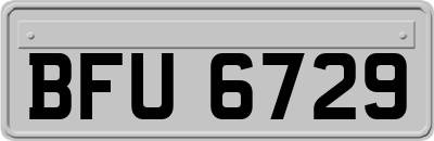 BFU6729