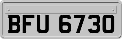 BFU6730