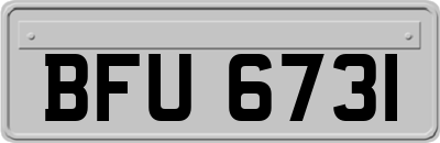 BFU6731