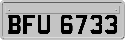 BFU6733