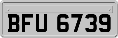 BFU6739