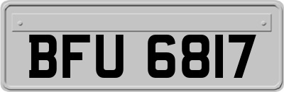 BFU6817