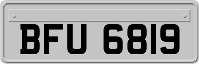 BFU6819
