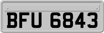 BFU6843