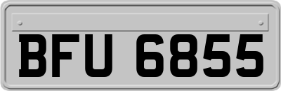 BFU6855