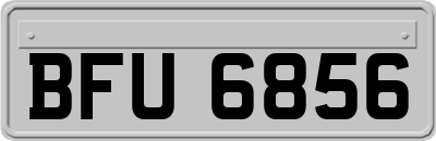 BFU6856