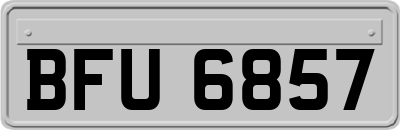 BFU6857
