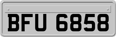 BFU6858