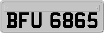 BFU6865