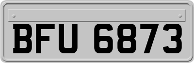 BFU6873