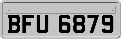 BFU6879
