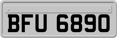 BFU6890