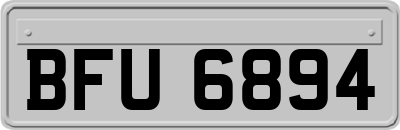 BFU6894