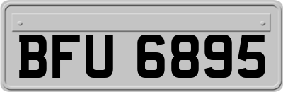 BFU6895