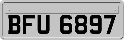 BFU6897