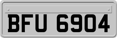 BFU6904