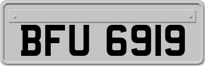 BFU6919
