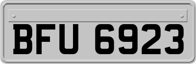 BFU6923