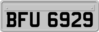 BFU6929