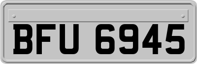 BFU6945