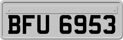 BFU6953