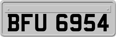BFU6954