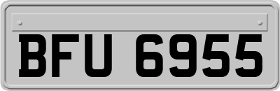 BFU6955