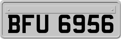 BFU6956