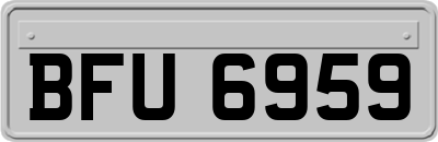 BFU6959