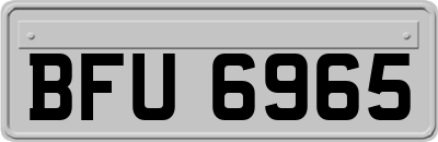 BFU6965
