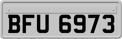 BFU6973