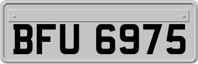 BFU6975