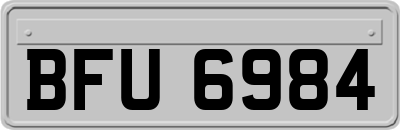 BFU6984