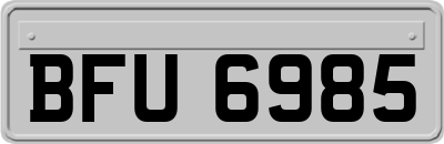 BFU6985