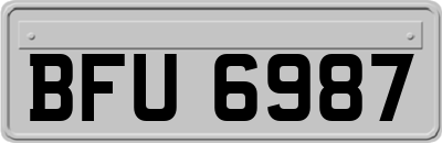 BFU6987