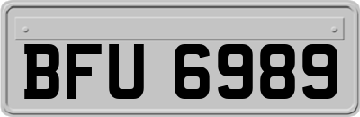BFU6989
