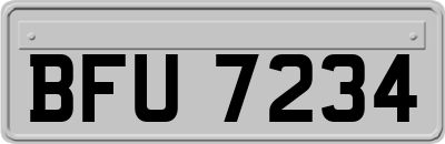 BFU7234