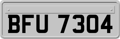 BFU7304