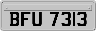 BFU7313