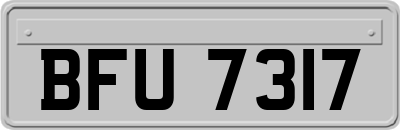 BFU7317