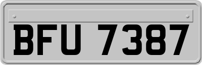 BFU7387