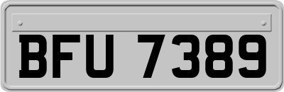 BFU7389
