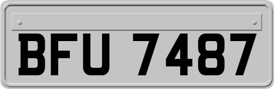 BFU7487